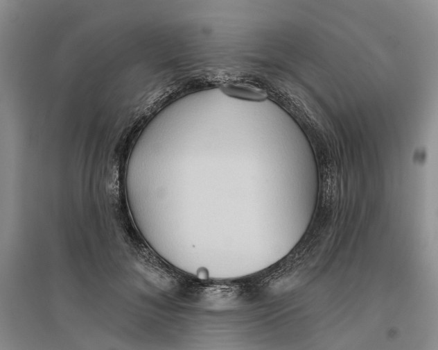 X0000096690700200802261540