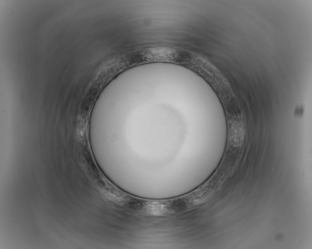 X0000096690701200802261540