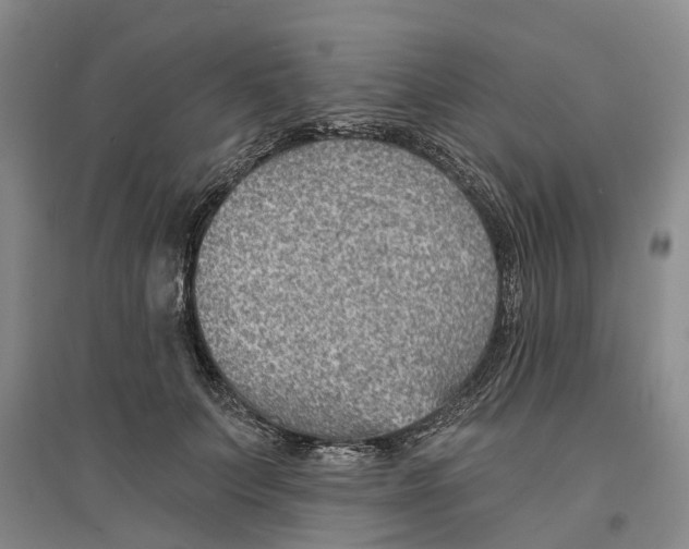 X0000096690703200802261540