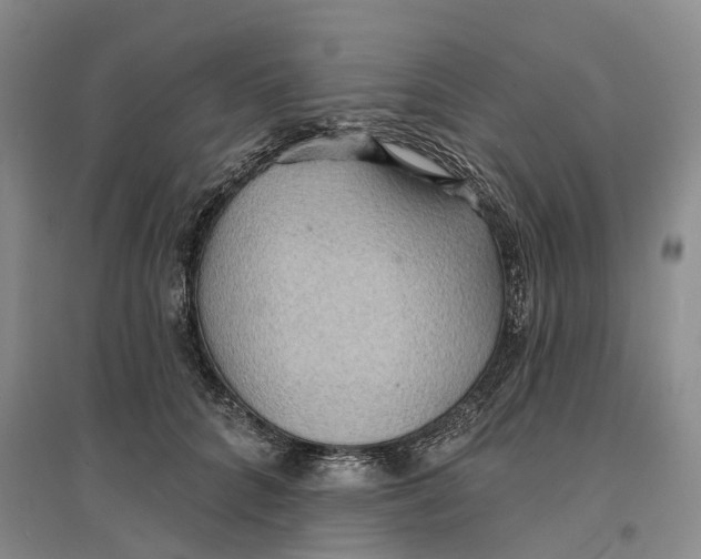 X0000096690704200802261540