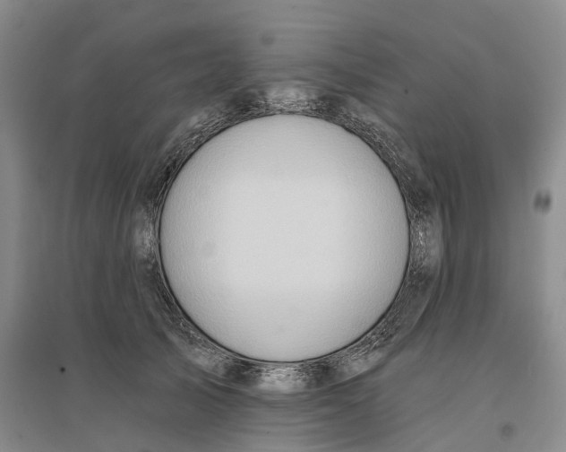 X0000096690705200802261540