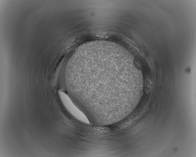 X0000096690707200802261540