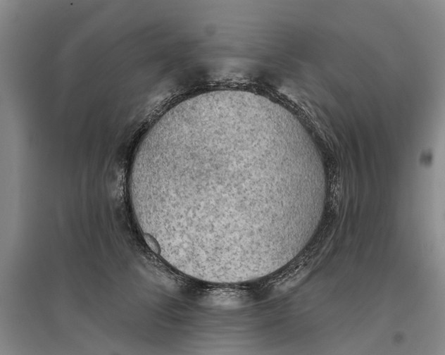 X0000096690708200802261540