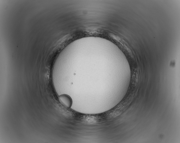 X0000096690710200802261540