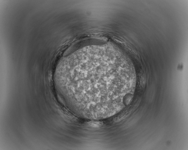 X0000096690711200802261540