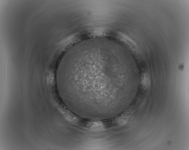 X0000096690715200802261540