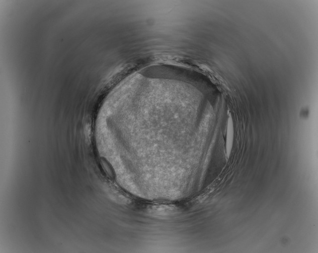 X0000096690716200802261540