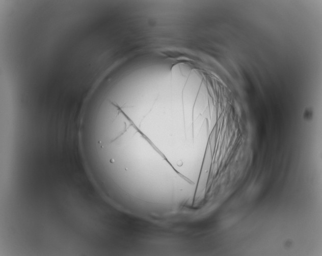 X0000096690717200802261540