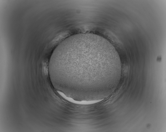 X0000096690719200802261540