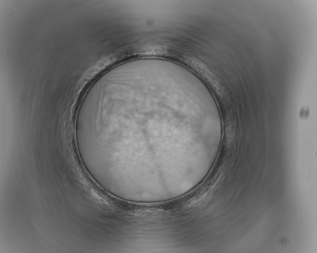 X0000096690721200802261539