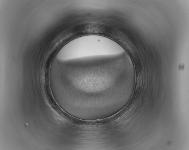 X0000096690722200802261539