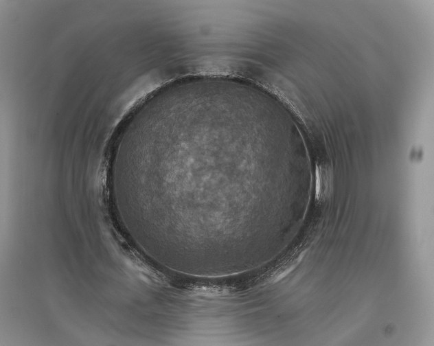 X0000096690723200802261539