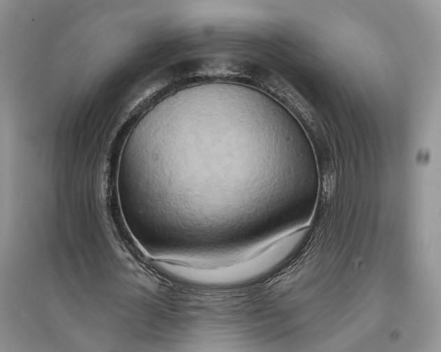 X0000096690724200802261539