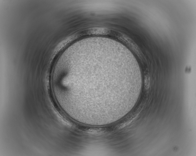 X0000096690725200802261539