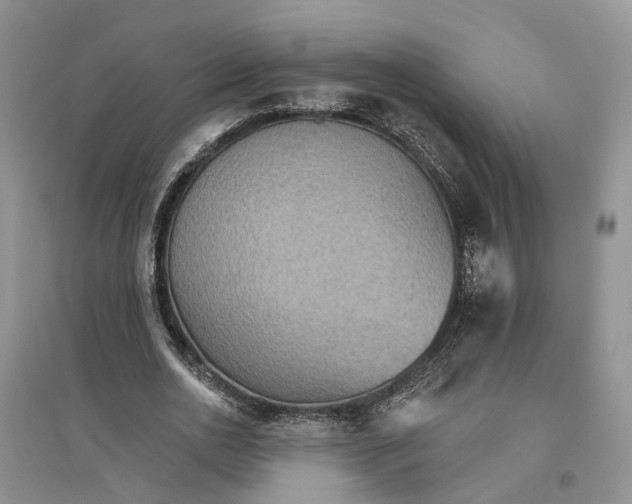 X0000096690726200802261539