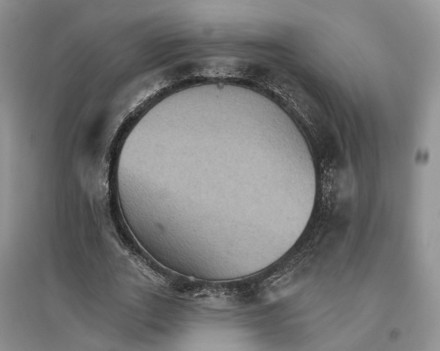 X0000096690727200802261539