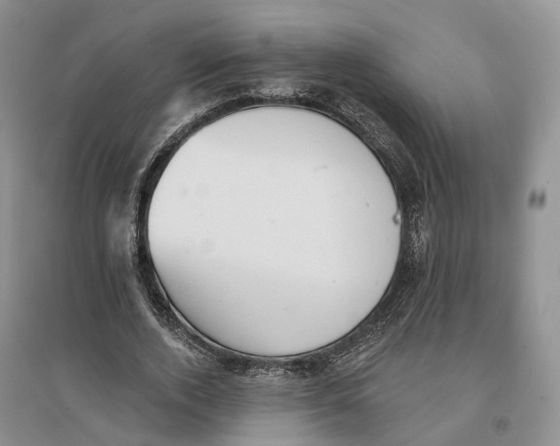 X0000096690728200802261539