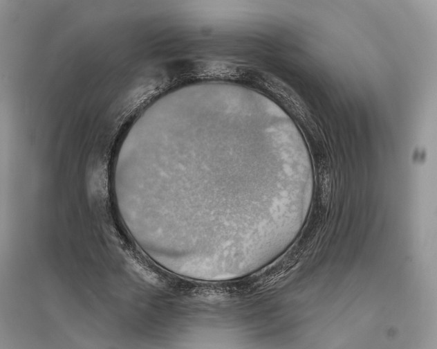 X0000096690729200802261539