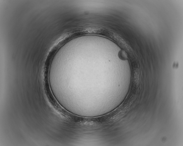 X0000096690730200802261539