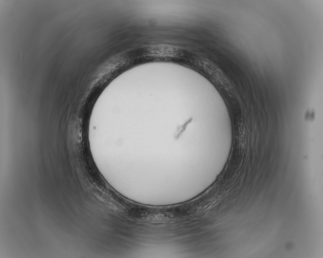 X0000096690731200802261540