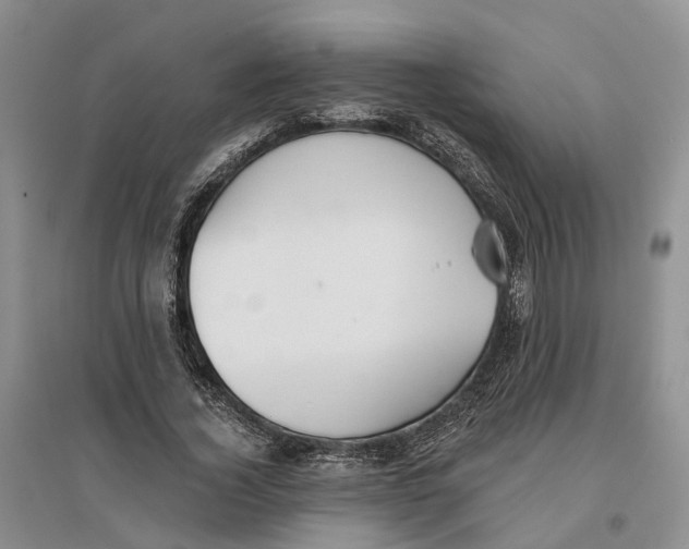 X0000096690732200802261540