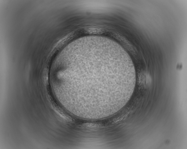 X0000096690733200802261540