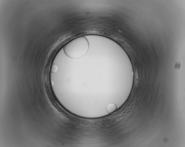 X0000096690734200802261540