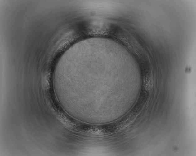 X0000096690735200802261540