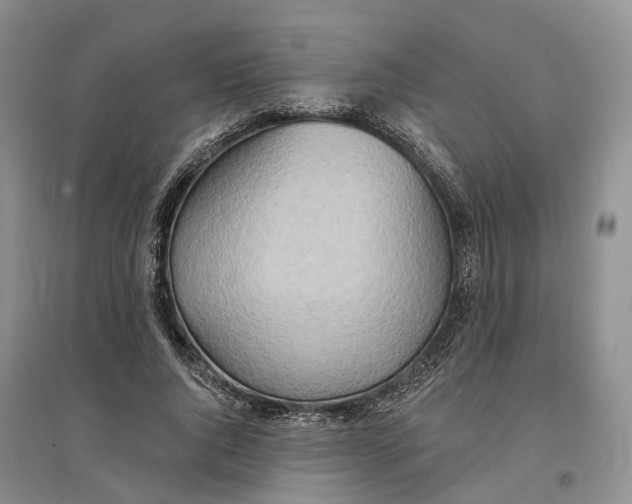 X0000096690736200802261540