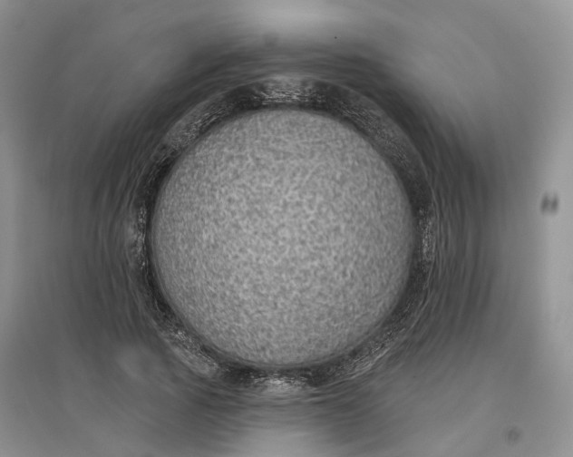 X0000096690737200802261540