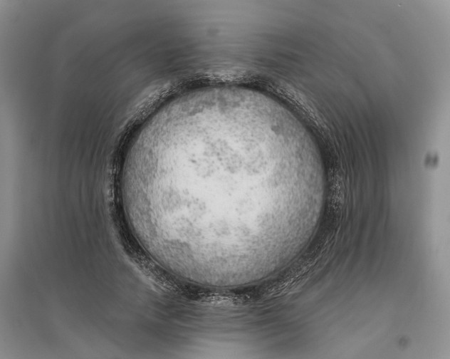 X0000096690738200802261540