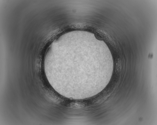 X0000096690739200802261540