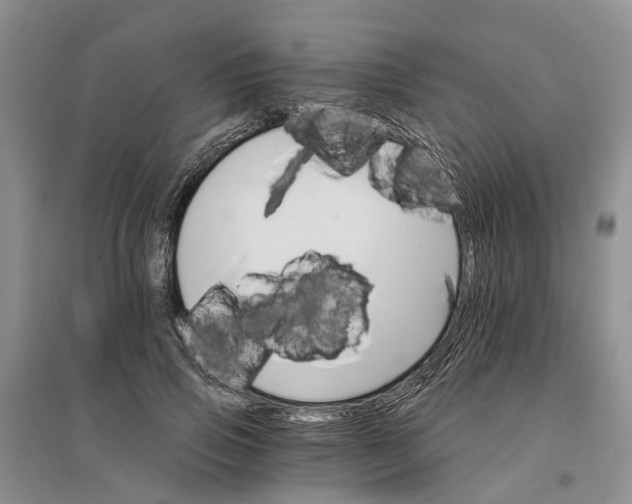 X0000096690741200802261540