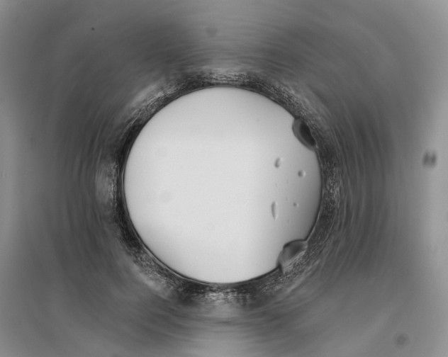 X0000096690744200802261540