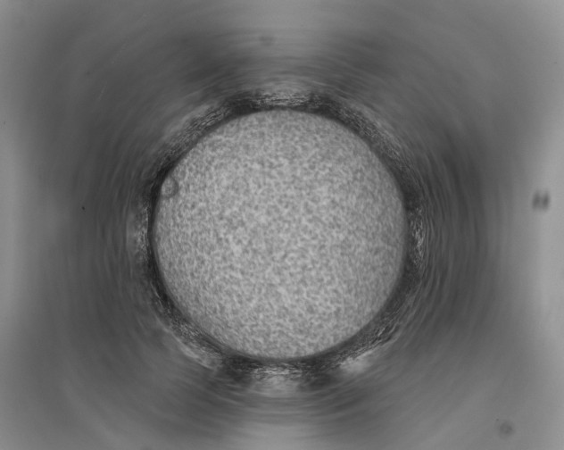 X0000096690745200802261540