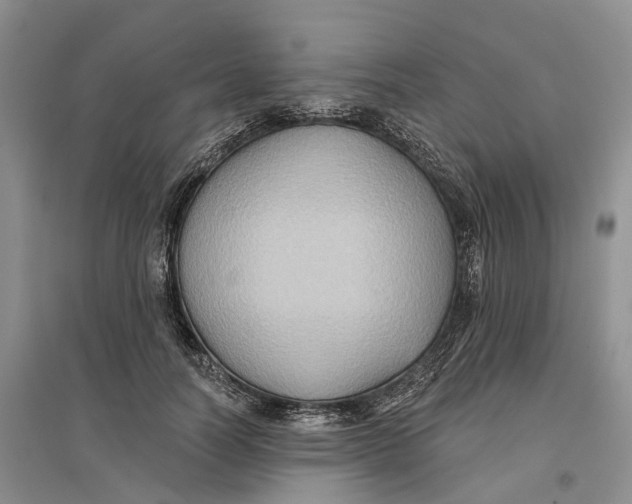 X0000096690746200802261540