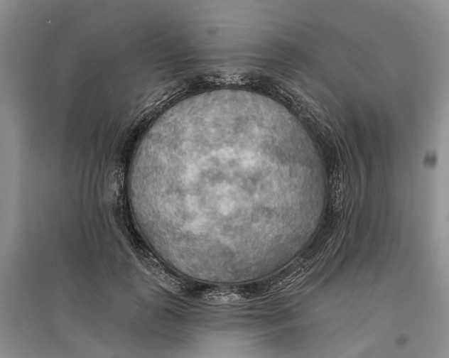 X0000096690747200802261540