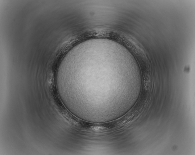 X0000096690748200802261540