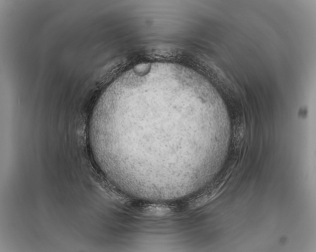 X0000096690749200802261540