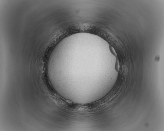 X0000096690750200802261540