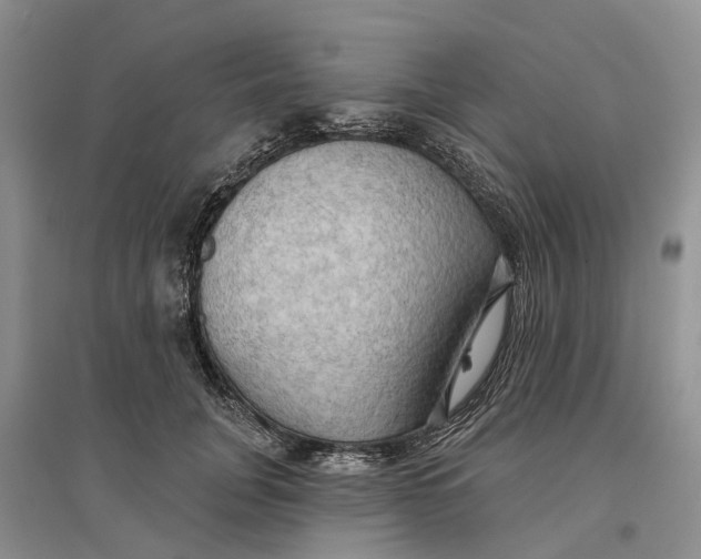 X0000096690751200802261540