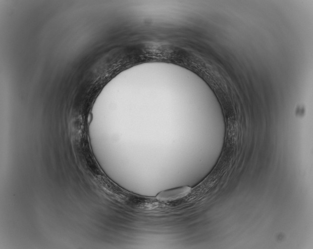 X0000096690752200802261540