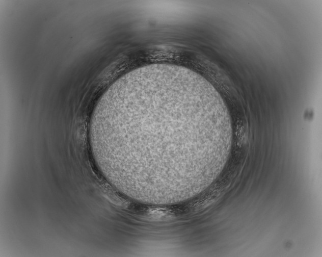 X0000096690753200802261540