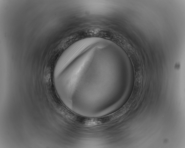 X0000096690754200802261540