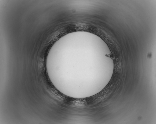 X0000096690756200802261540