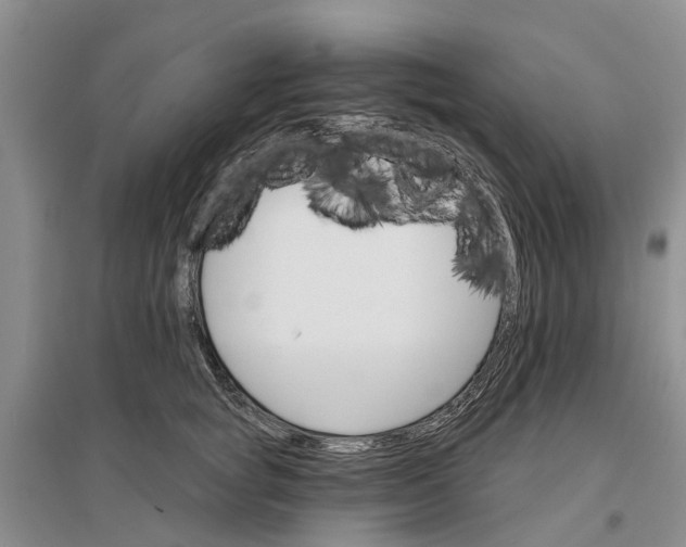 X0000096690757200802261540