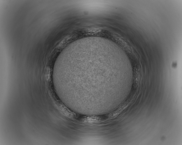 X0000096690758200802261540