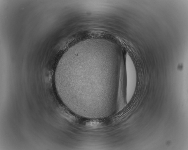 X0000096690759200802261540