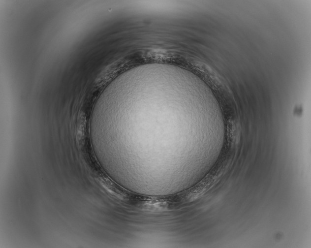 X0000096690760200802261540