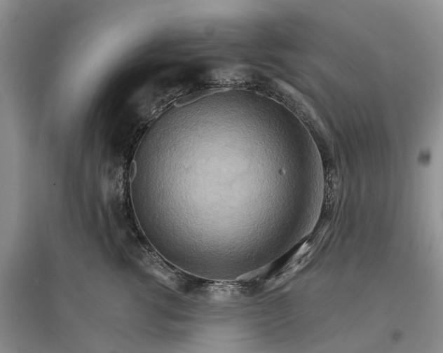 X0000096690762200802261540